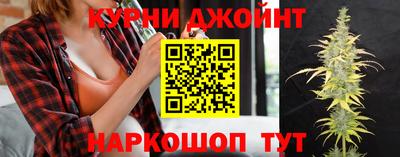 гидропоника Можайск