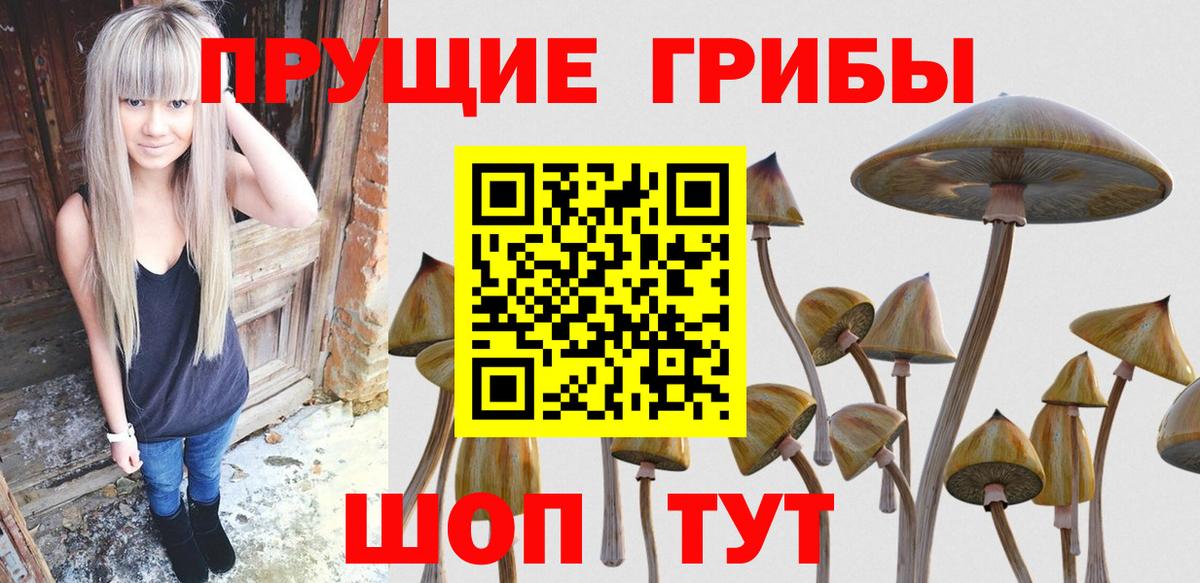 Псилоцибиновые грибы Psilocybe  Галлюциногенные грибы ЛСД  Богородск  Вход с VPN 